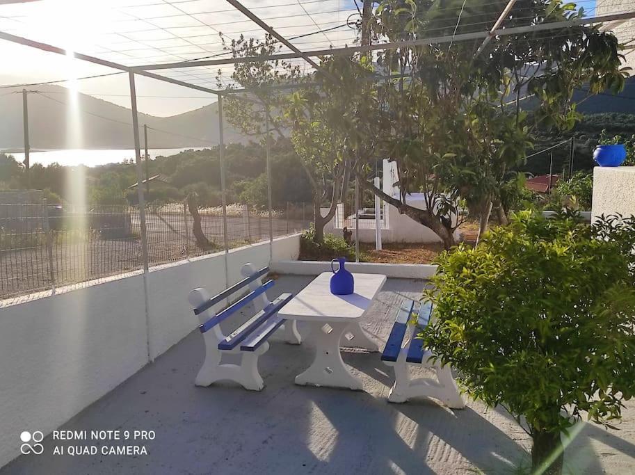 White Villa In Olive Trees And Seaview To Panagia Almiropotamos Ngoại thất bức ảnh